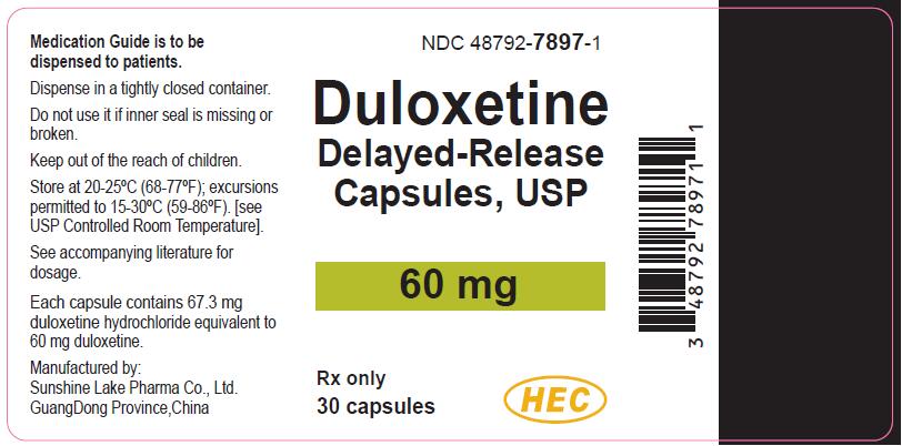 PACKAGE LABEL- Duloxetine Delayed-Release Capsules, USP 60 mg, bottle of 30
