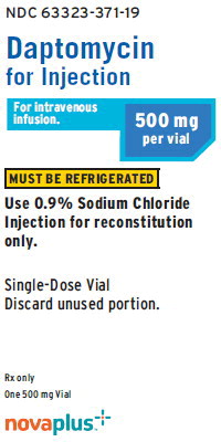 PACKAGE LABEL - PRINCIPAL DISPLAY PANEL - Daptomycin 500 mg Vial Carton Panel
