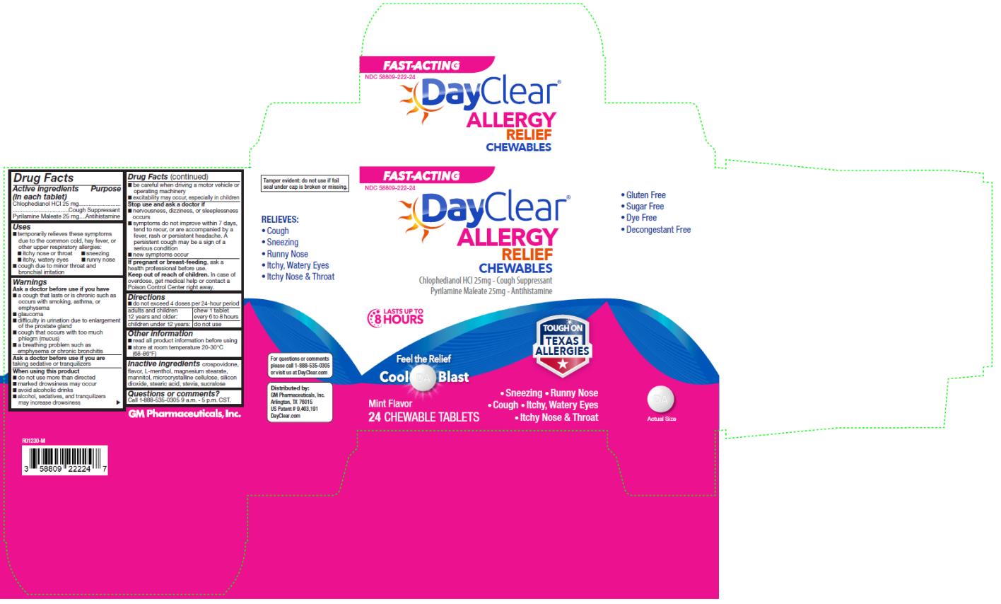 PRINCIPAL DISPLAY PANEL
NDC 58809-222-24
DayClear
Allergy
Relief
Chewables
24 Chewable Tablets 
