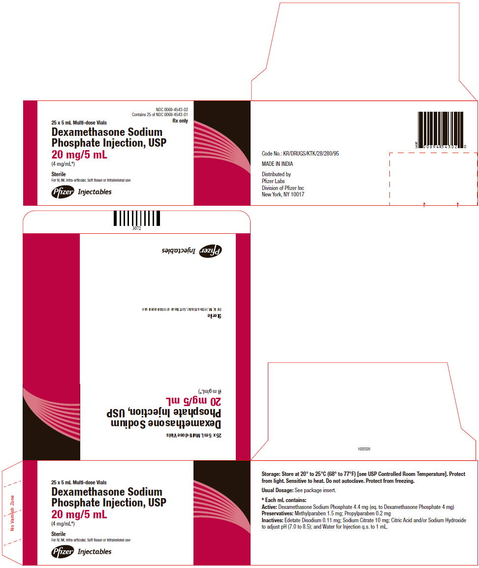 PRINCIPAL DISPLAY PANEL - 20 mg/5 mL Carton