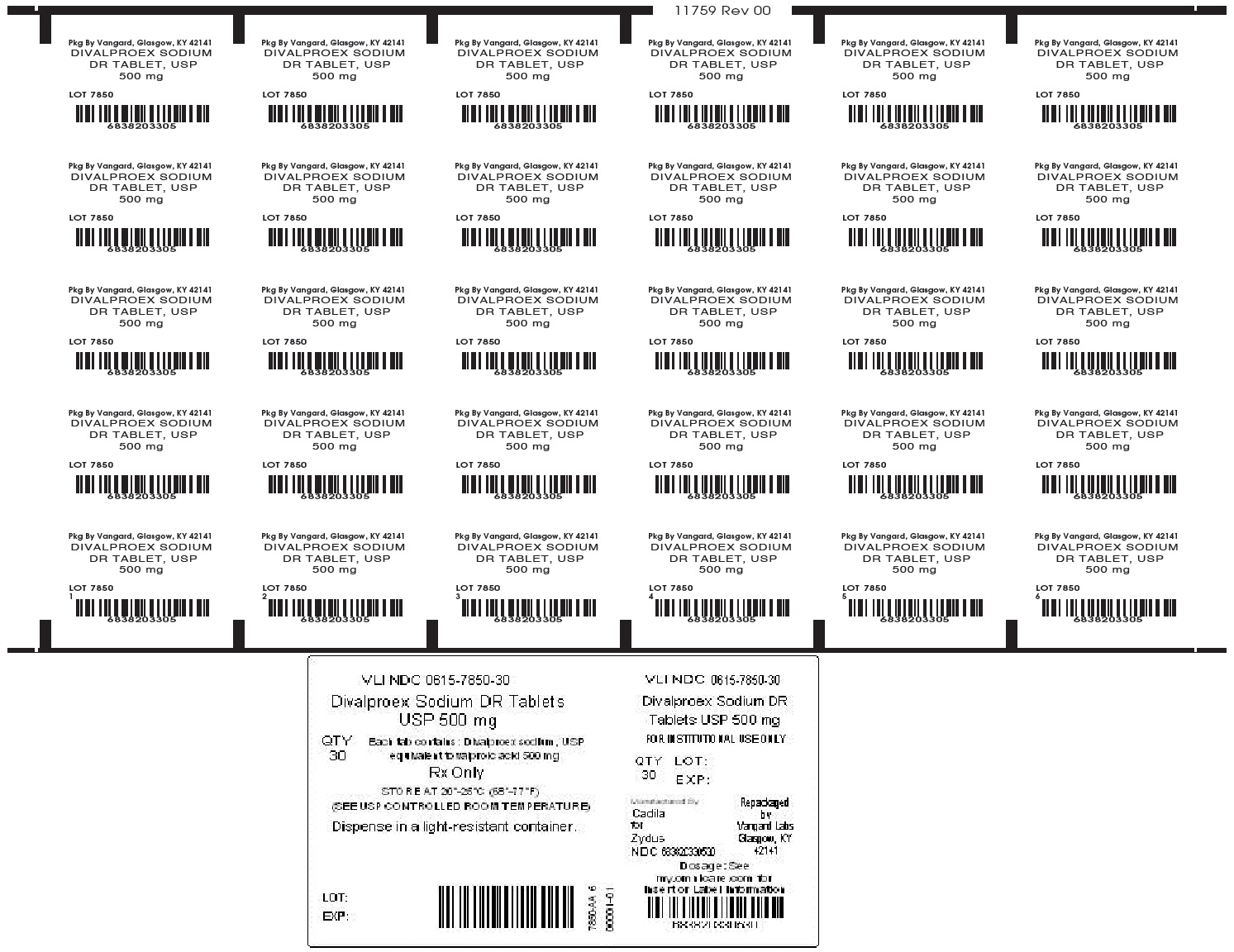 Divalproex Sodium DR Tablet 500mg unit dose label