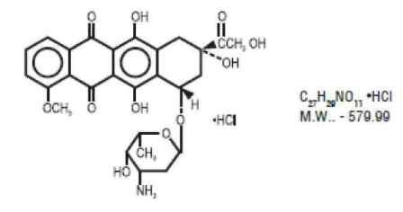 doxorubicin structure