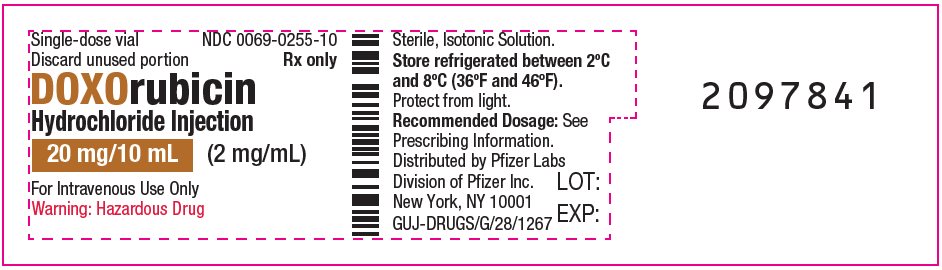 PRINCIPAL DISPLAY PANEL – 20 mg/10 mL Vial ONCO-TAIN® Label