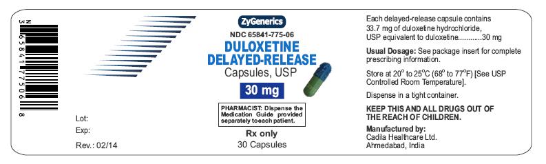 Duloxetine Delayed-release Capsules, 30 mg