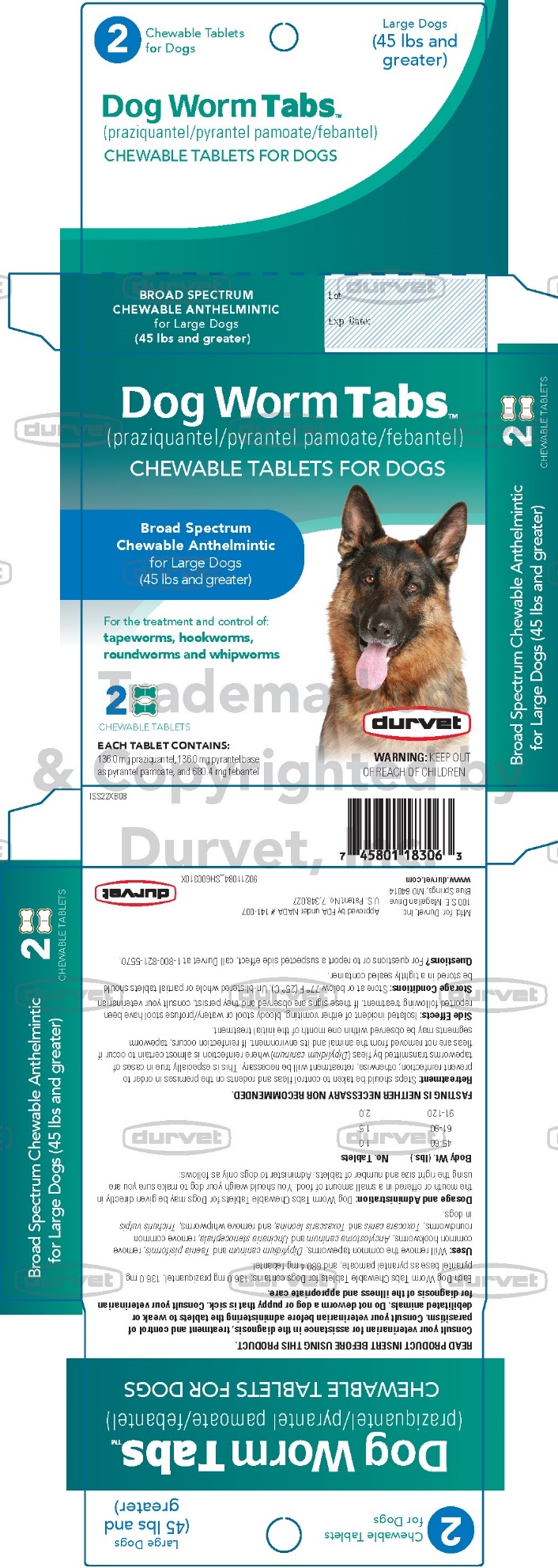 Principal Display Panel - Carton Label Large Dogs