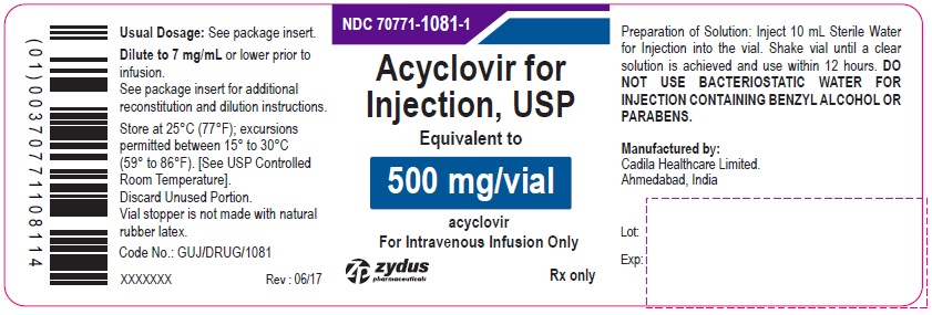 Acyclovir sodium Injection, 500 mg/vial