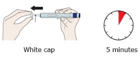 Step 2. Pull the white cap straight off only when you are ready to inject. Do not leave the white cap off for more than 5 minutes. This can dry out the medicine.