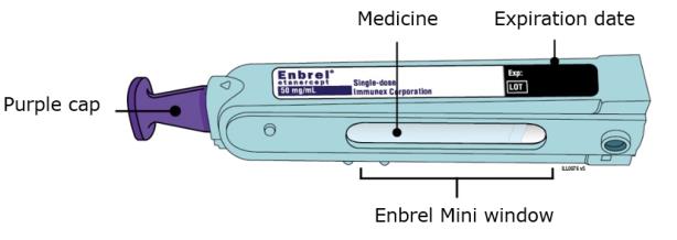B	Inspect the Enbrel Mini single-dose prefilled cartridge.
