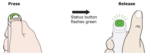 Press and release the status button.  The status button will start to flash green.  You will hear a click when the injection starts.