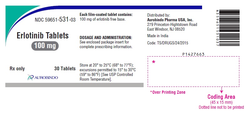 PACKAGE LABEL.PRINCIPAL DISPLAY PANEL- 100 mg (30 Tablets Bottle)