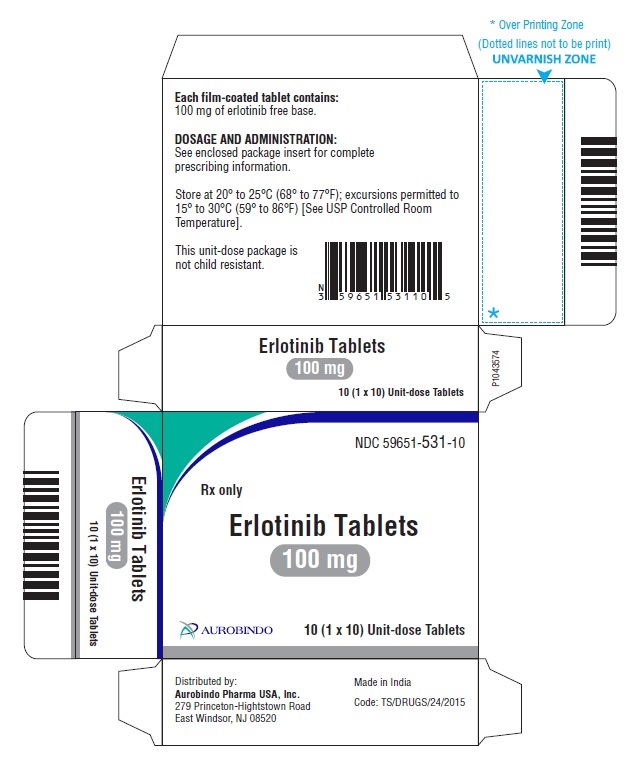 PACKAGE LABEL-PRINCIPAL DISPLAY PANEL - 100 mg (30 Tablets Carton)