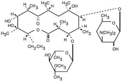 erythromycin-structure