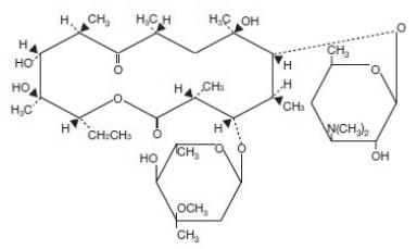 The structural formula of Erythromycin.