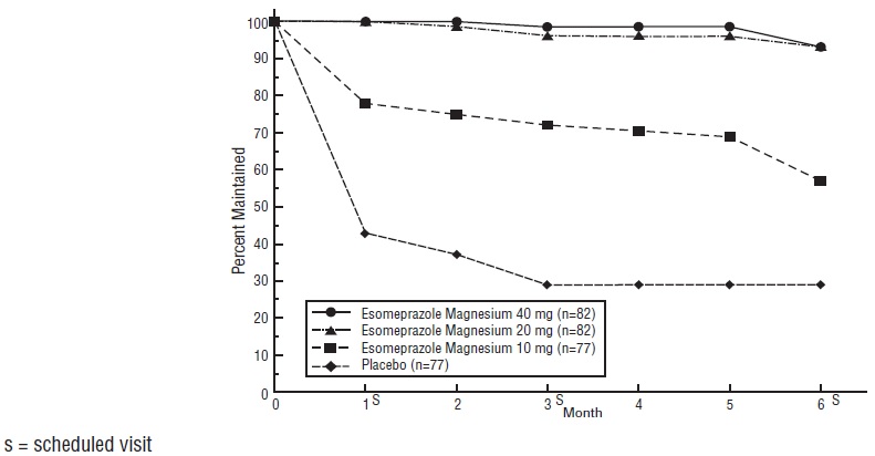 Figure 3: Maintenance of EE Healing Rates in Adults by Month (Study 178)