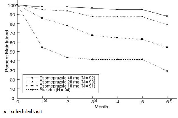 Figure 2: Maintenance of Healing Rates by Month (Study 177)