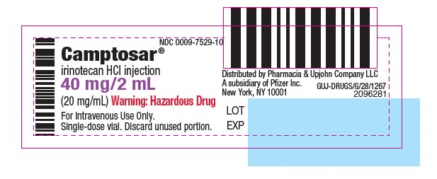 PRINCIPAL DISPLAY PANEL - 40 mg/2 mL Vial Label  