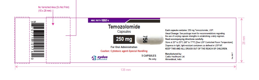 Temozolomide capsules, 250 mg