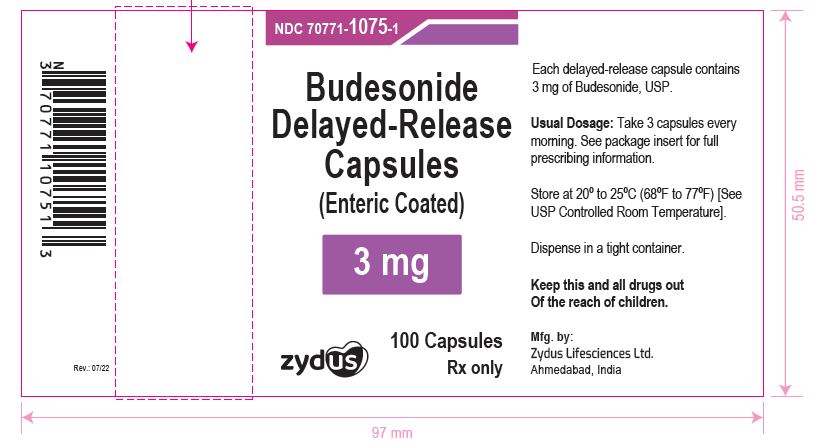 Budesonide Capsules label