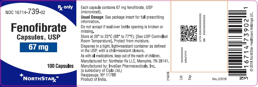 Fenofibrate Capsules, USP 67 mg - 100 Bottle Label