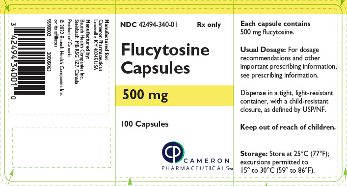PRINCIPAL DISPLAY PANEL - 500 mg Capsule Bottle Label