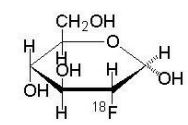 FDG F 18 molecule