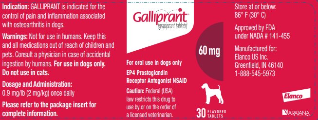 Principal Display Panel - Galliprant 60 mg 30 Tablets Bottle Label 
