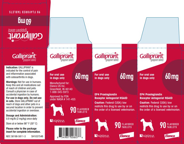 Principal Display Panel - Galliprant 60 mg 90 Tablets Carton Label 