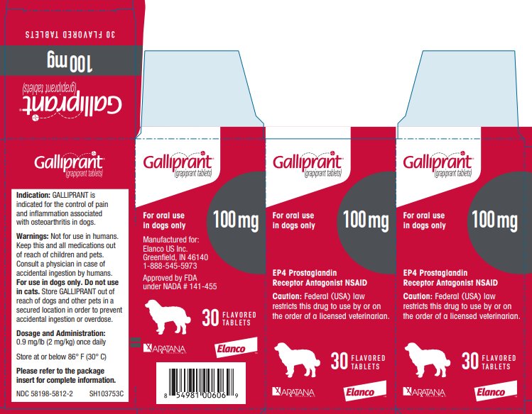Principal Display Panel - Galliprant 100 mg 30 Tablets Carton Label 