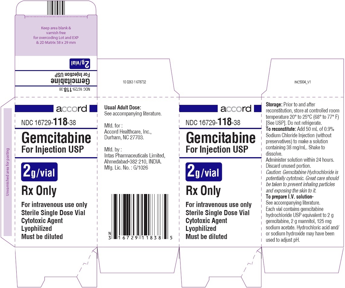 Gemcitabine For Injection 2g Carton