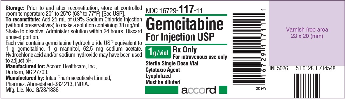Gemcitabine For Injection 1 g  Label for SEZ