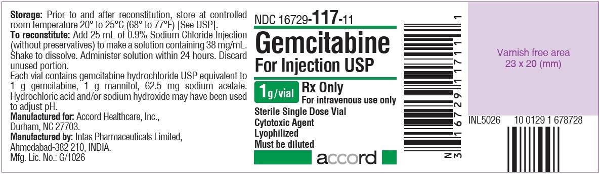 Gemcitabine For Injection 1 g  Label