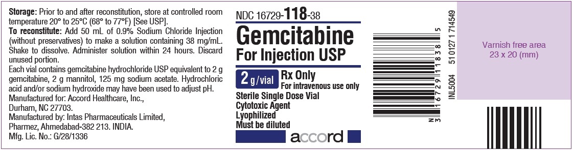 Gemcitabine For Injection 2 g  Label for SEZ