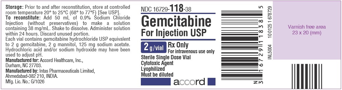 Gemcitabine For Injection 2 g  Label