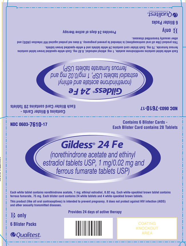 Image of the 6 count carton for Gildess® 24 Fe