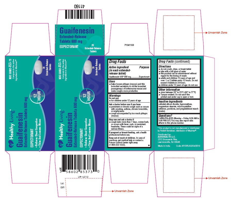 PACKAGE LABEL-PRINCIPAL DISPLAY PANEL - 600 mg (20 Tablet Carton Label)