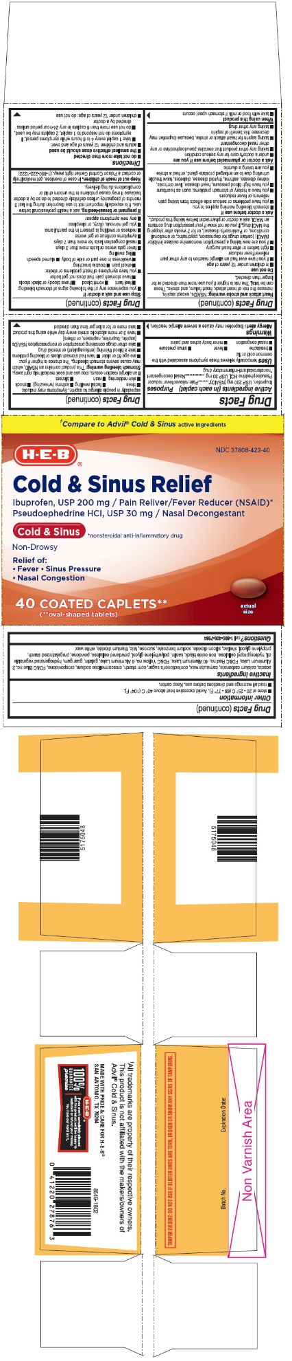 PRINCIPAL DISPLAY PANEL - 40 Caplet Blister Pack Carton