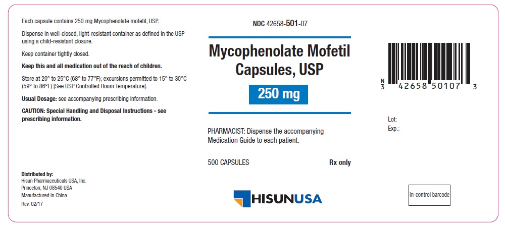 Mycophenolate Mofetil Capsules USP 250 mg 500s Label 