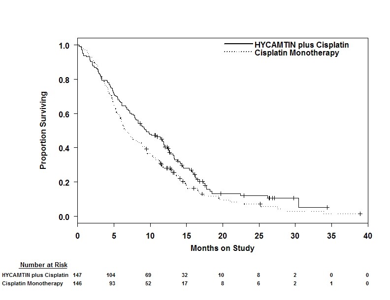 Figure 1. Kaplan-Meier Curves for Overall Survival in Cervical Cancer in Study GOG 0179
