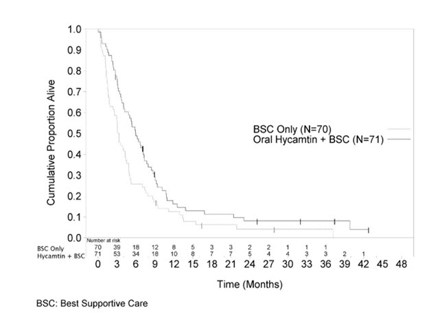 Figure 1. Kaplan-Meier Curves for Overall Survival in Small Cell Lung Cancer in Study 478