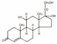 This is an image of the structural formula for hydrocortisone.