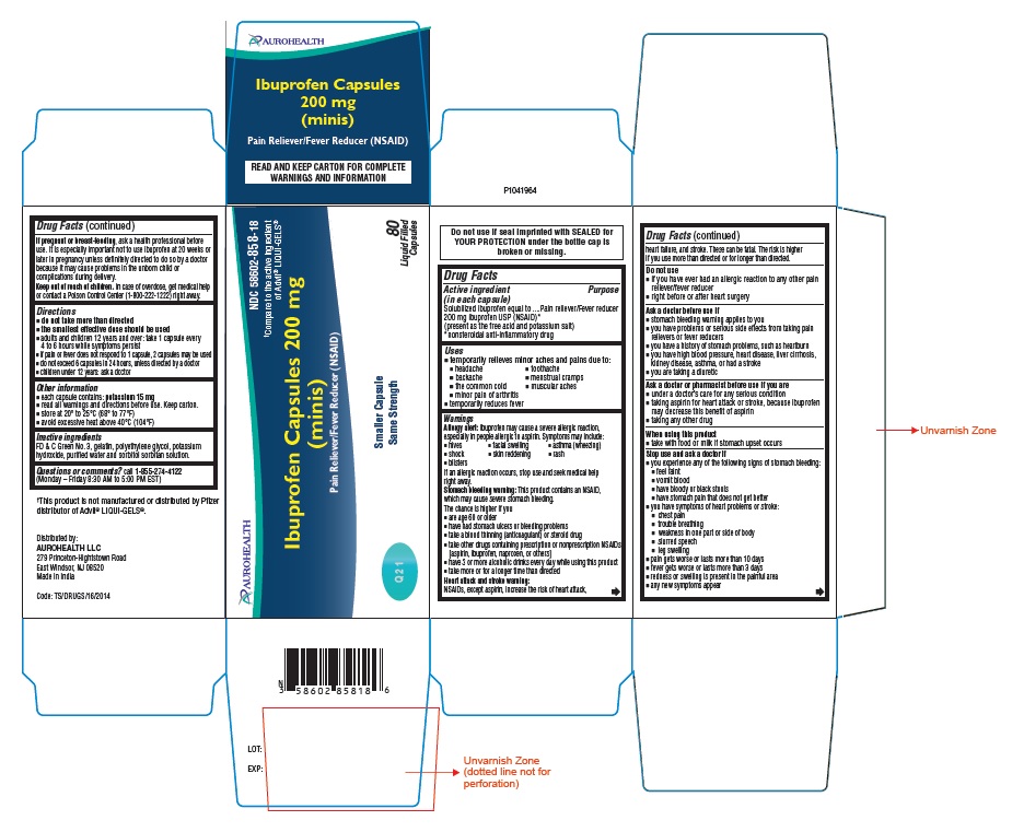 PACKAGE LABEL-PRINCIPAL DISPLAY PANEL – Container Carton Label 200 mg (80 Liquid Filled Capsules)