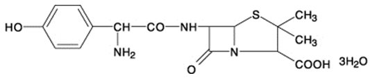 Amoxicillin Structural Formula
