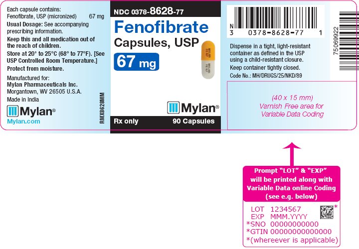 Fenofibrate Capsules 67 mg Bottle Label