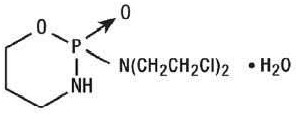 Cyclophosphamide Structural Formula.jpg