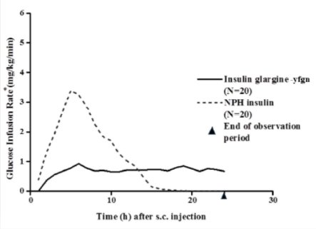 Insulin Glargine Structural Formula
