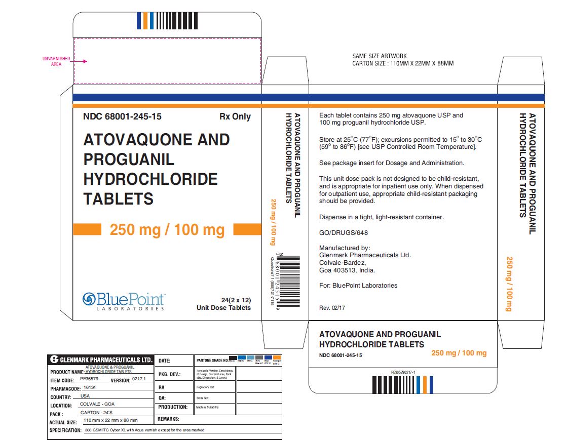 Atovaquone and Proguanil HCl Tablets 250_100mg 24 Unit Dose Tablets Carton Label Rev 02/17