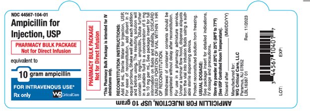Ampicillin 10 g vial label