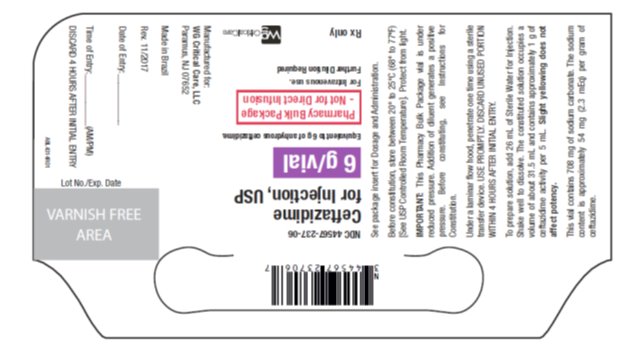 Ceftazidime for Injection 6 g vial label
