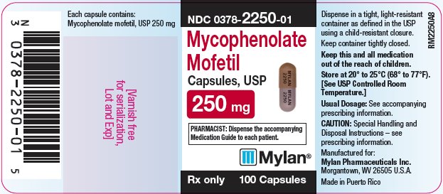 Mycophenolate Mofetil Tablets, USP 250 mg Bottle Label