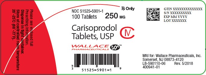 Carisoprodol Tablets 250 mg Bottle Label